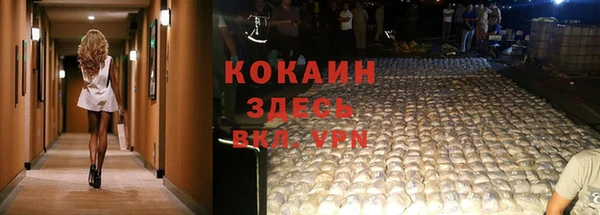спайс Алексин