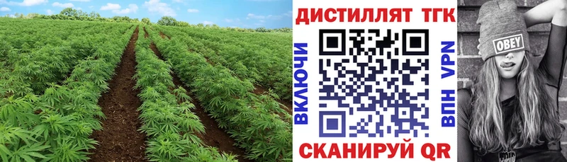 Дистиллят ТГК вейп с тгк  Печоры 
