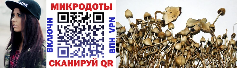 Галлюциногенные грибы Cubensis  Печоры 